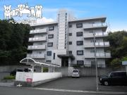 シャトー東舞鶴 2DK