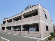 MAISON COMFORCE
