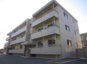 ブエナカーサ初生