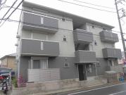 フローラM