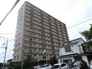 リリー木更津