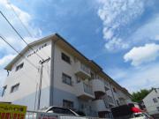 ドリームハイツ原