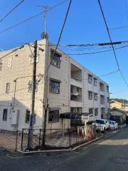 BRAMA柏
