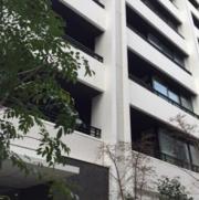 パークホームズ新丸子ステーションプレミア