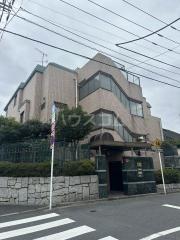 麗元江古田