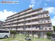 葛城ハイム