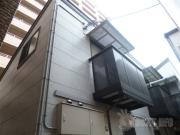 アムール パイン