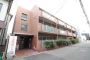 アペックス15