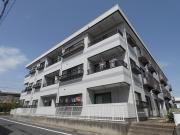 都営新宿線篠崎駅まで徒歩14分