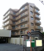エクセレント常盤 1匹可 P有