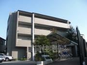 セコイア山本