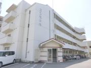 コスモ川内