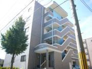 シェモア当知