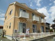 テラスハウス腹福