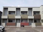 ハミングバードヒロ