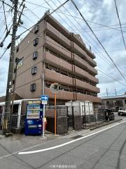 Lucas Isahaya