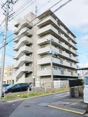 コージィコートナカムラ