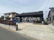 フェリシテ浜の木