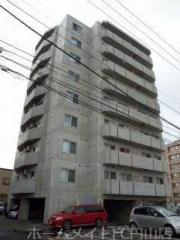 willDo南12条