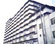 丸信リバーサイドコーポ1棟