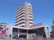 BORAX TOWER