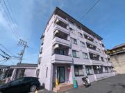 エクシードSS