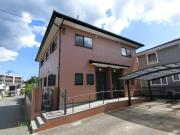 オリーブの樹つくば