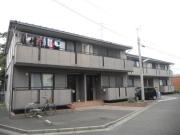ハイカムール湘南