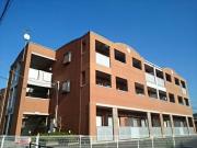 Gradio B