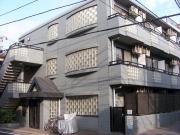 大山いずみ