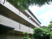 フォリア岡本