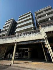 パウロニアバレーテイク12大口通