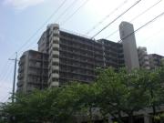 アメリア6番館