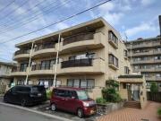 シャルマン島村