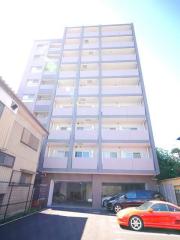 Solcielo Kawasaki