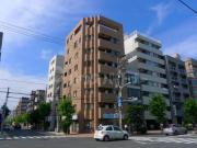 Peaceful Court 菊川