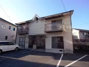 ブルーベリーはるか D