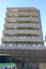 IVY COURT 19
