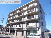 フルネスライズハチケン
