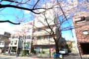 シャトー白馬