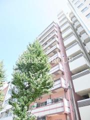 セントヒルズ白山