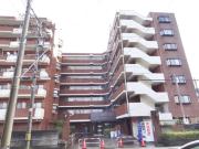 信開ドムス駅北