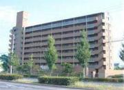 花房国分寺マンション