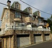 シャイリービーナス