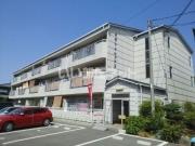 大県マンション II