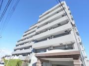 コスモ立川サングレイス