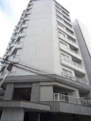 ライオンズマンション南平台