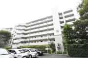UR新川・島屋敷通り