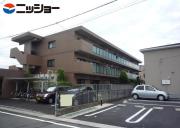 ピアドール 長良