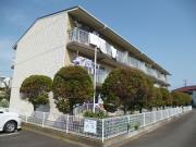 新珠マンション